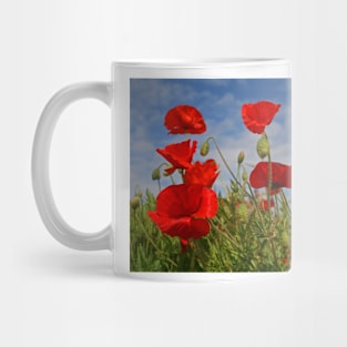 Poppies Mug